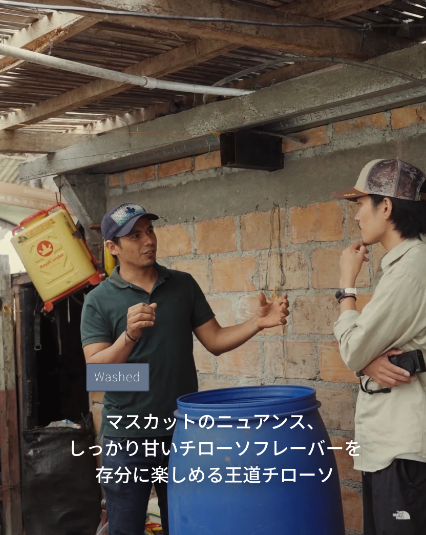 CH47 - オスカル Chiroso Washed