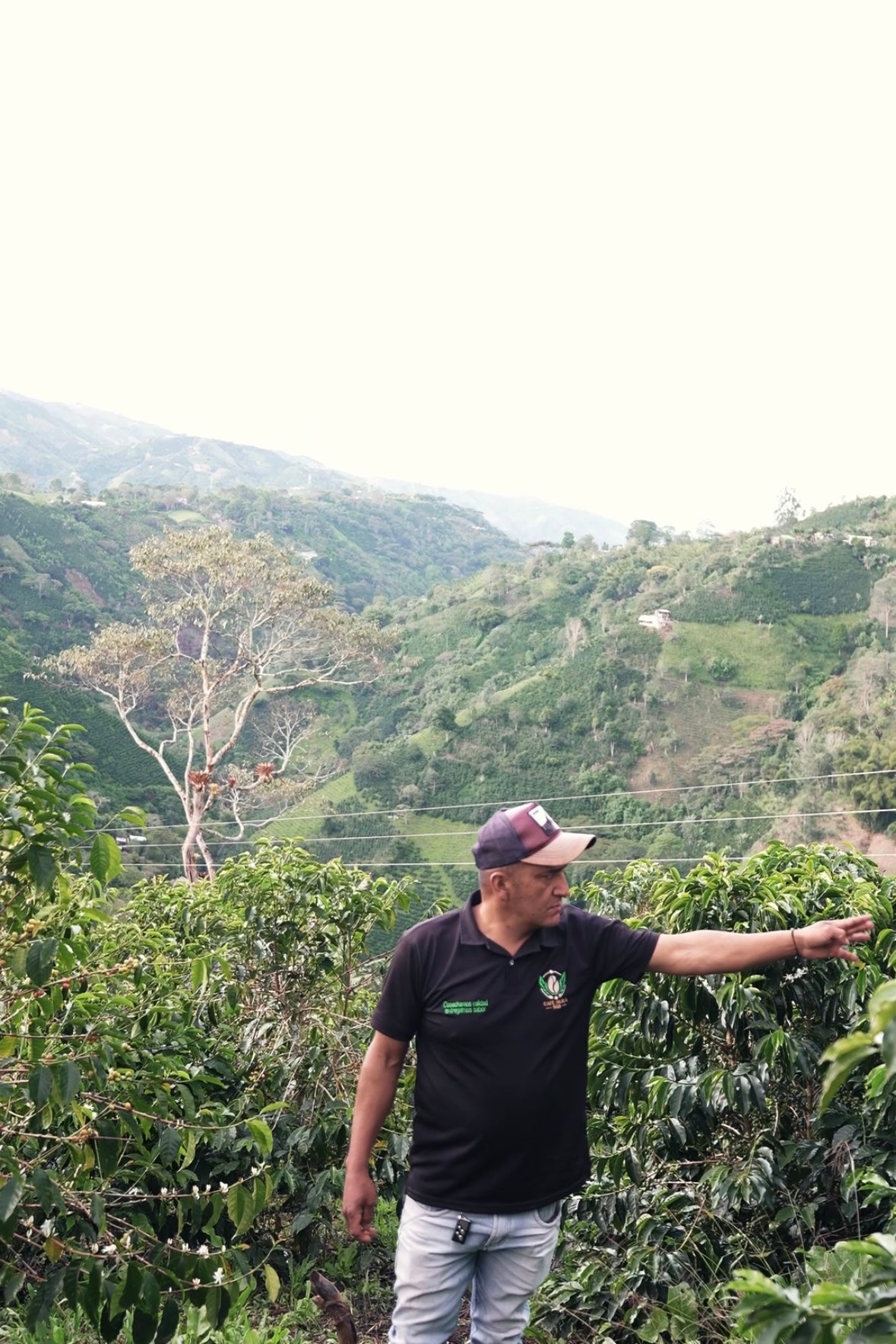 MC07 Pink Bourbon Washed