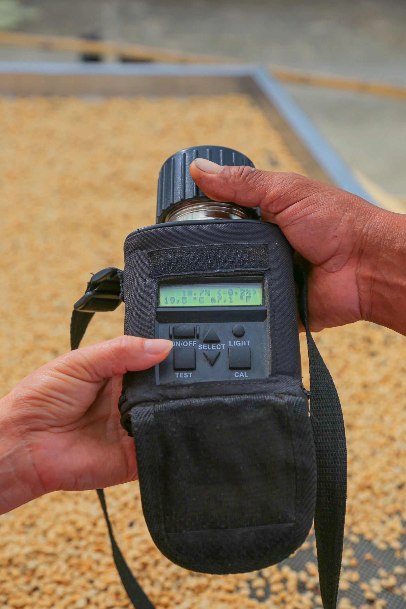 Pink Bourbon washed - PBN01