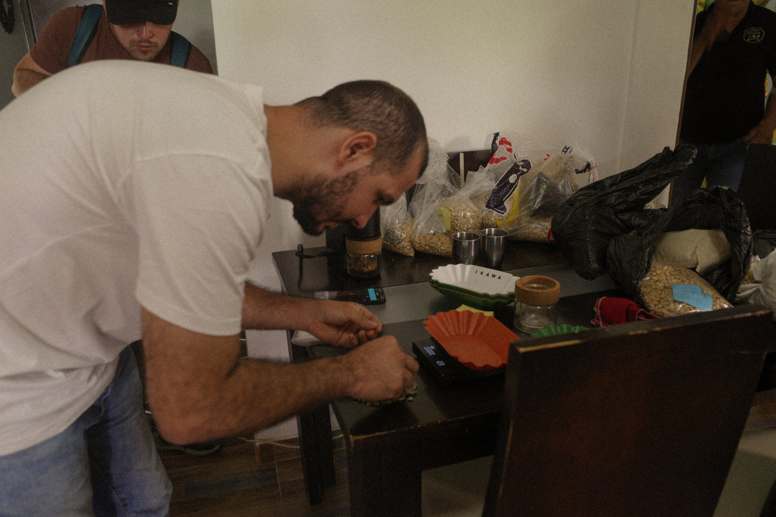 Pink Bourbon Natural lusitania - LS20