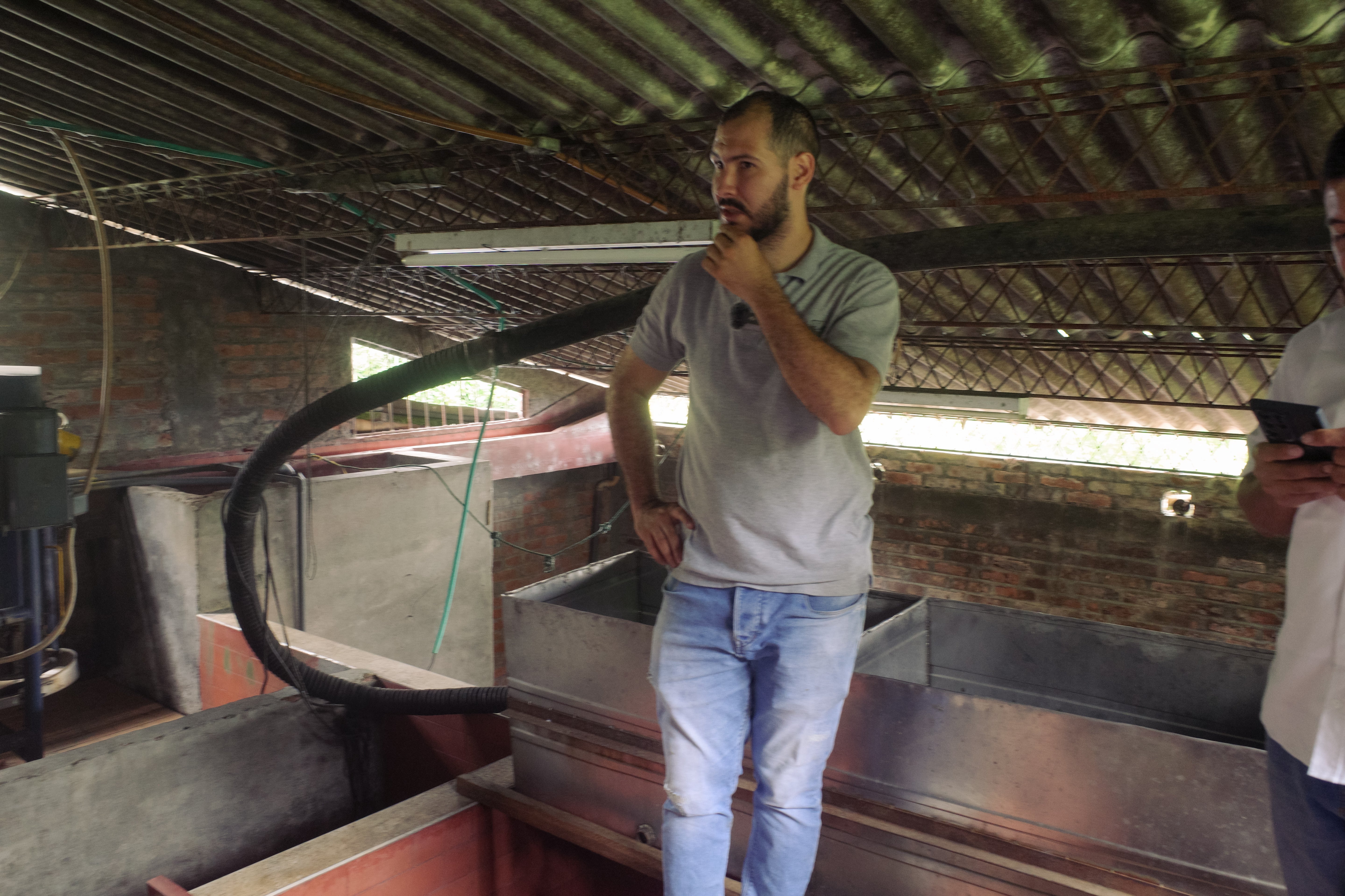 Wush Wush Lusitania - LS24