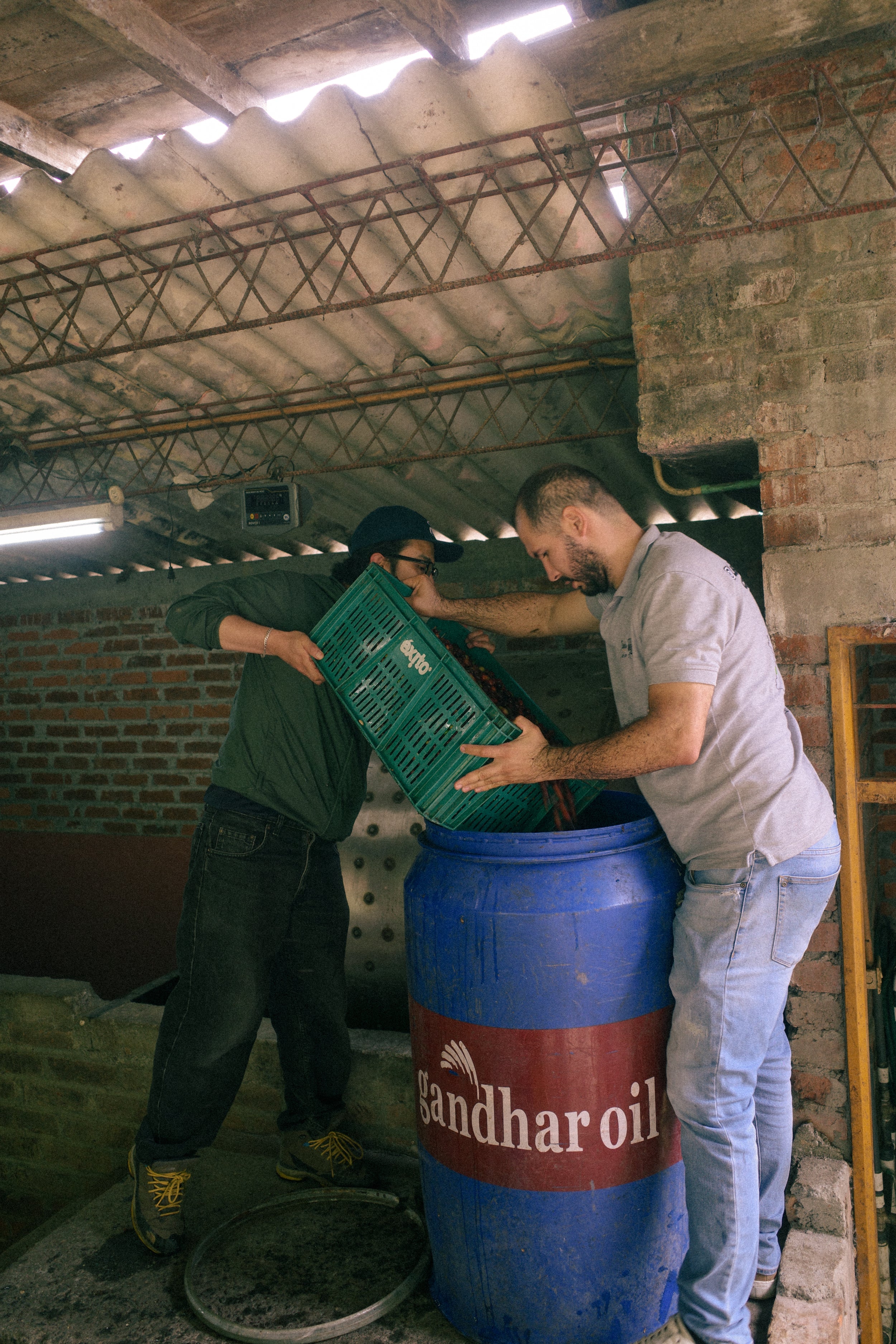 Pink Bourbon Natural lusitania - LS20