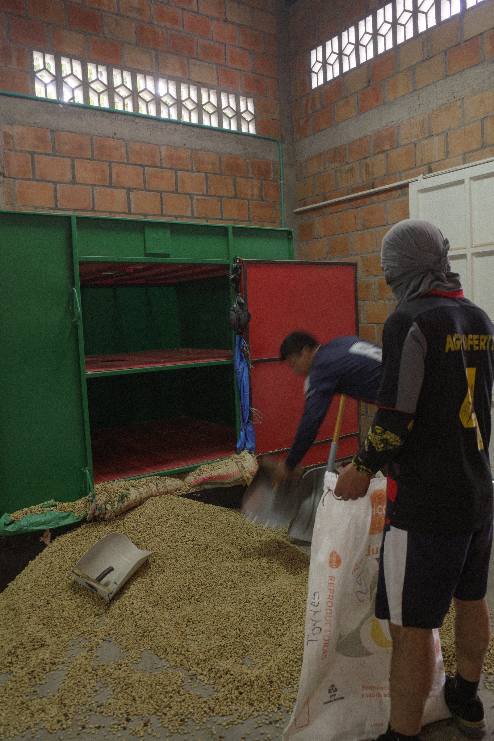 TRG02　Geisha Washed