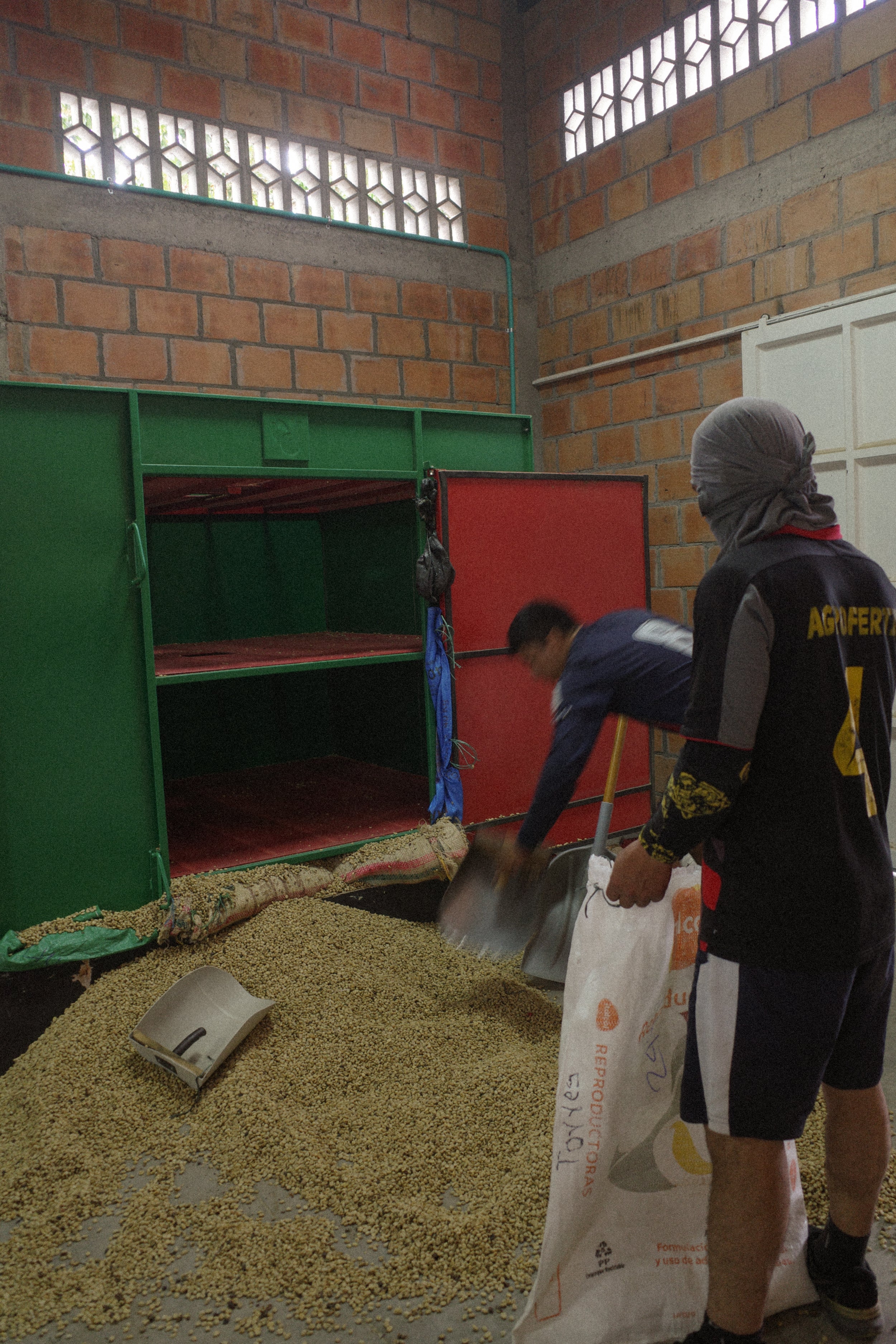 TRG02　Geisha Washed