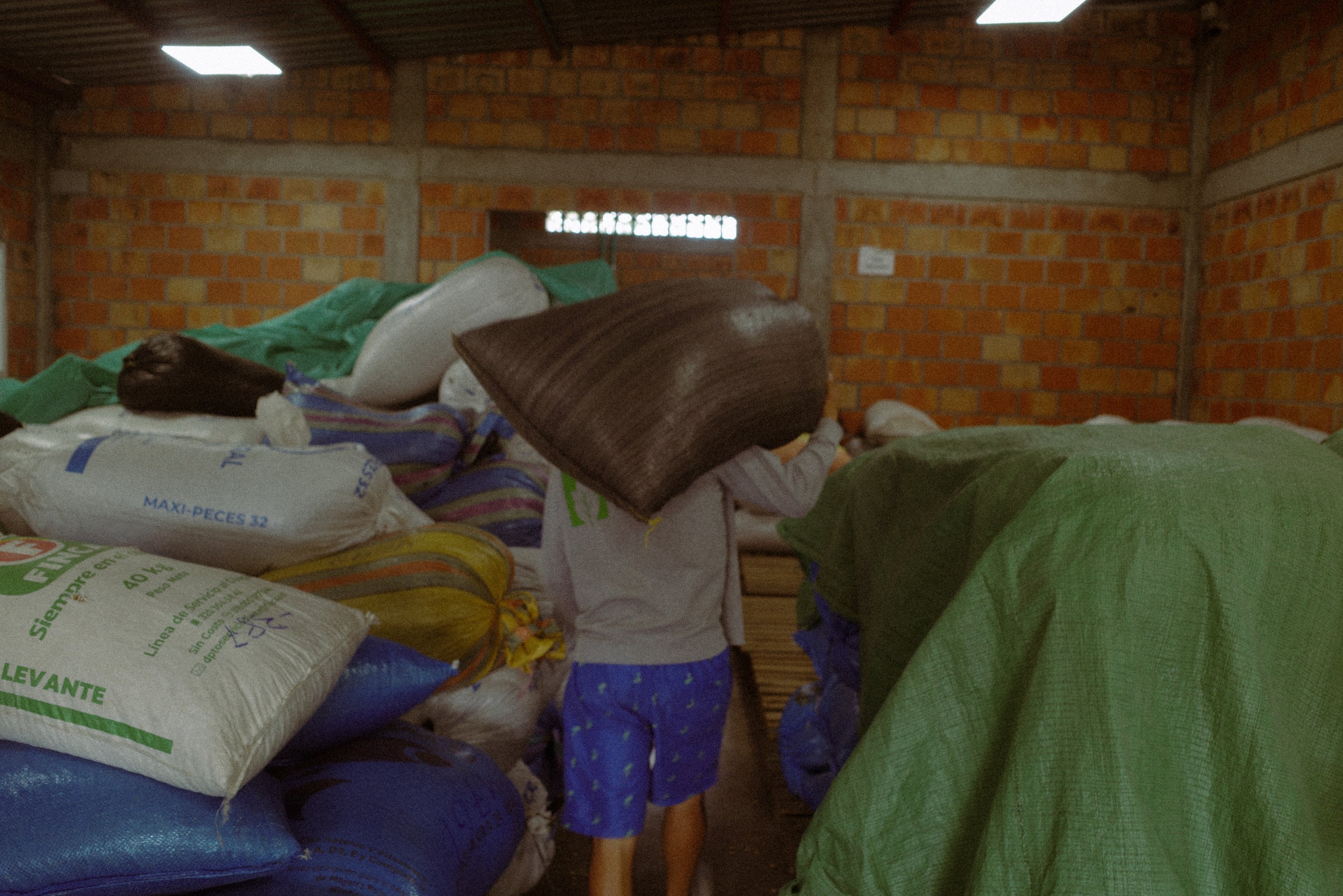 TR28　Caturra/Chiroso Washed