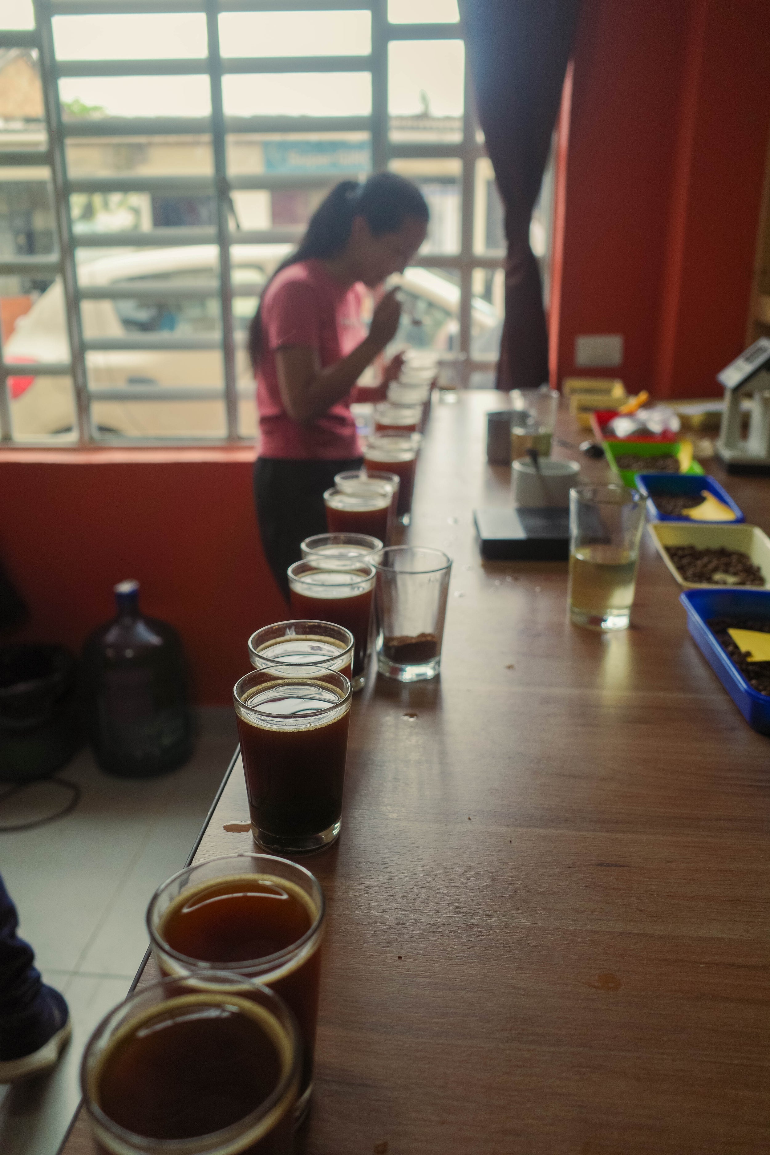 8月入港済みサンプルセット(送料無料)