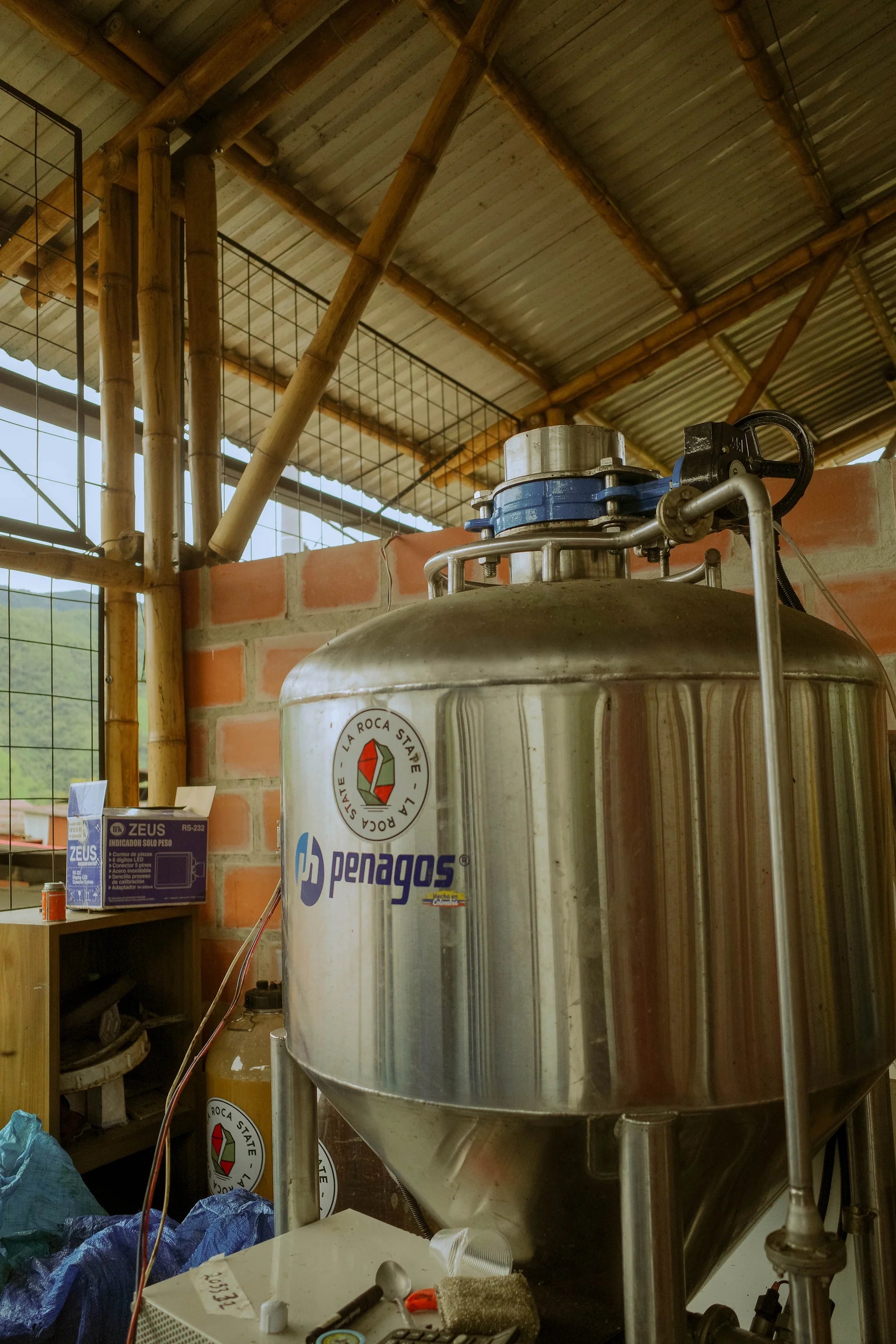 RS49 - エル・パライソ Typica Washed
