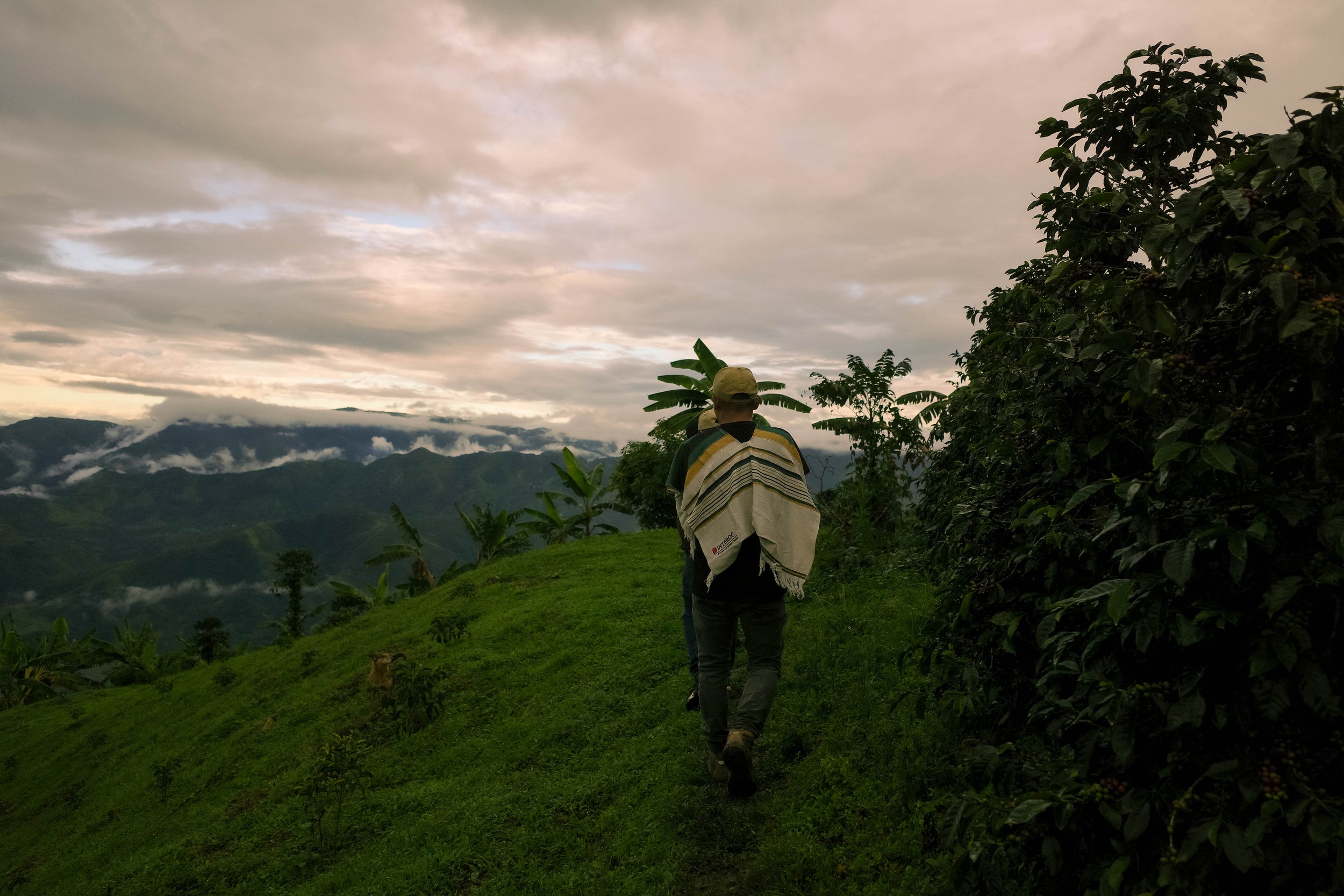 RS44　Geisha Washed