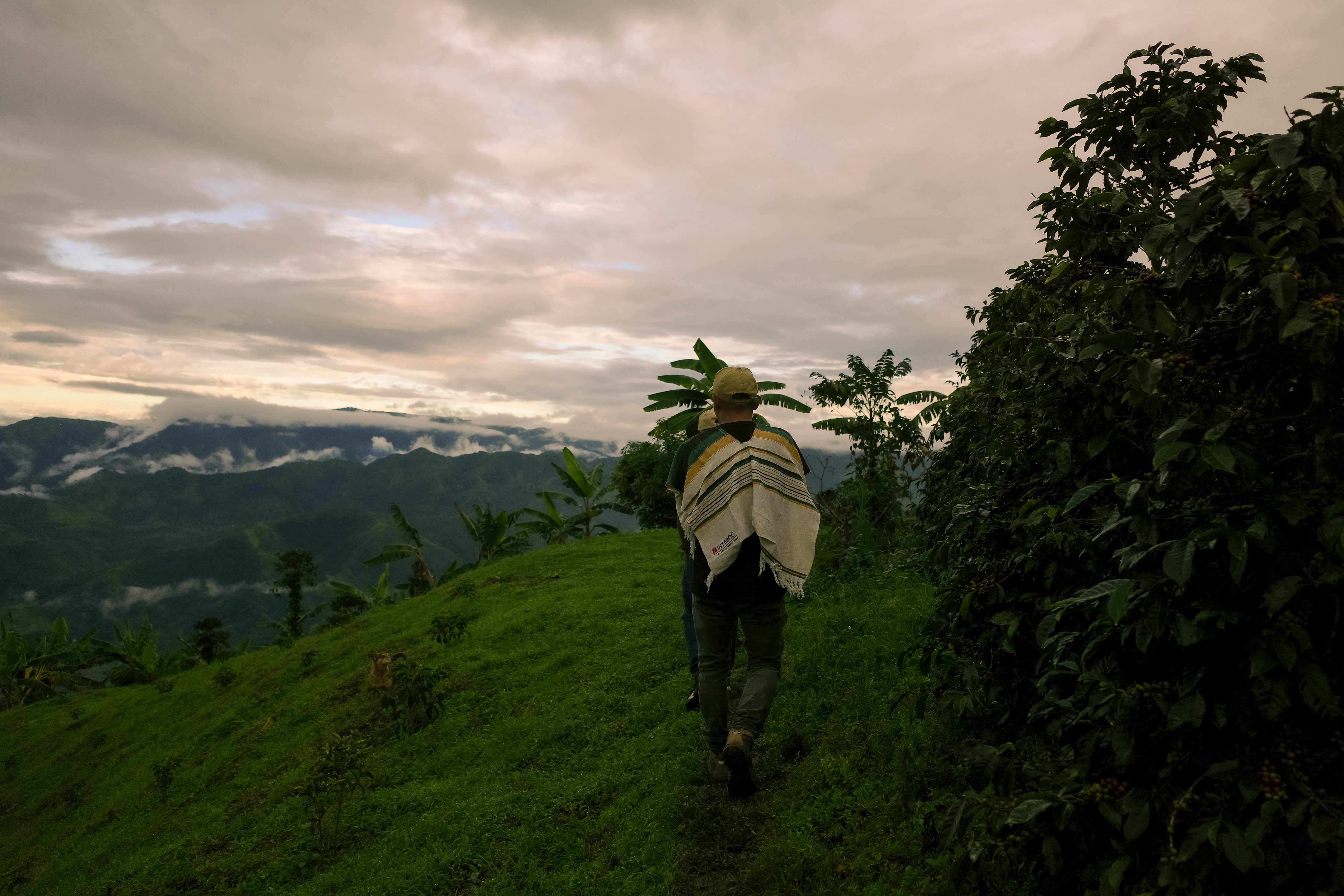 RS44　Geisha Washed