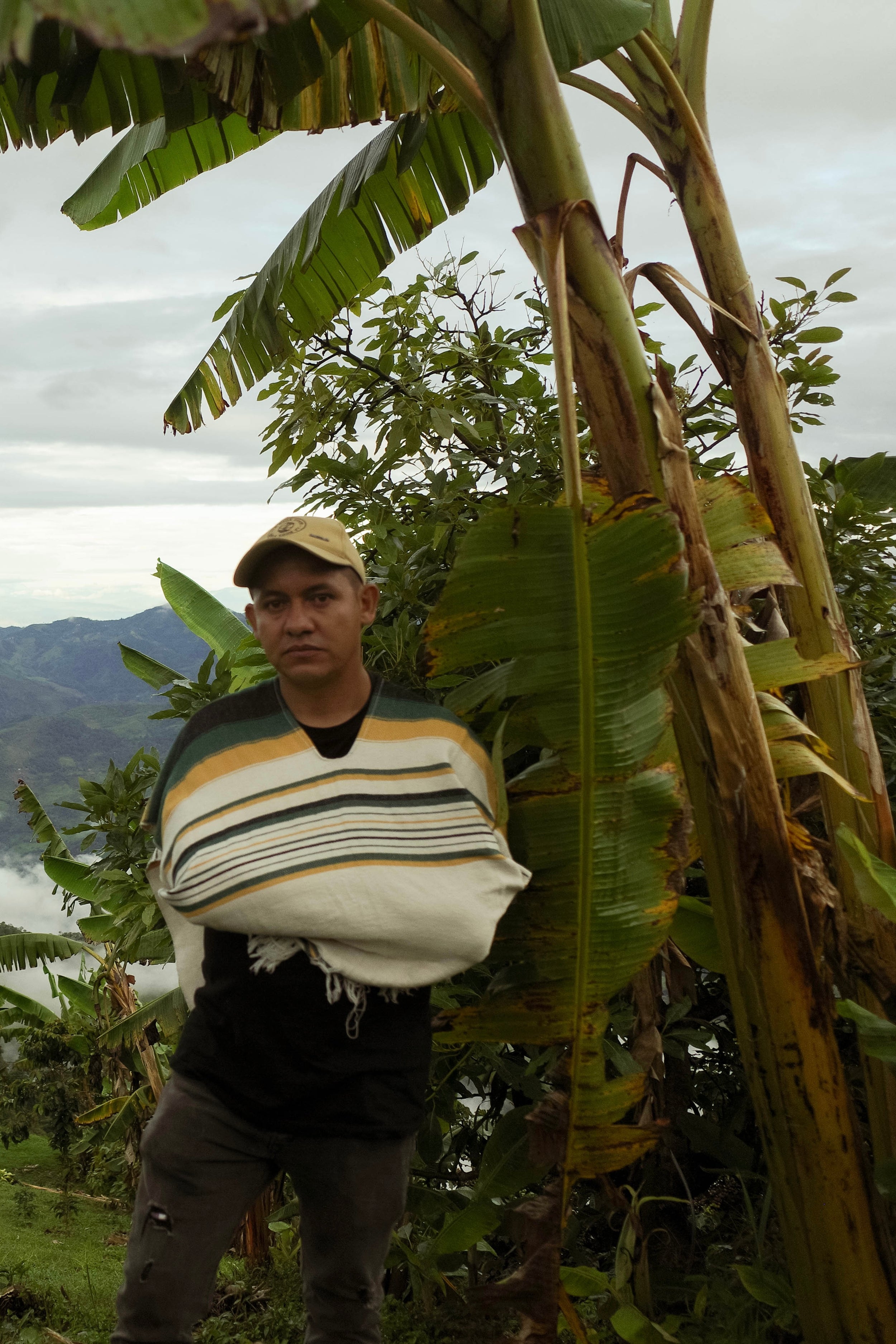 RS42　Geisha Washed