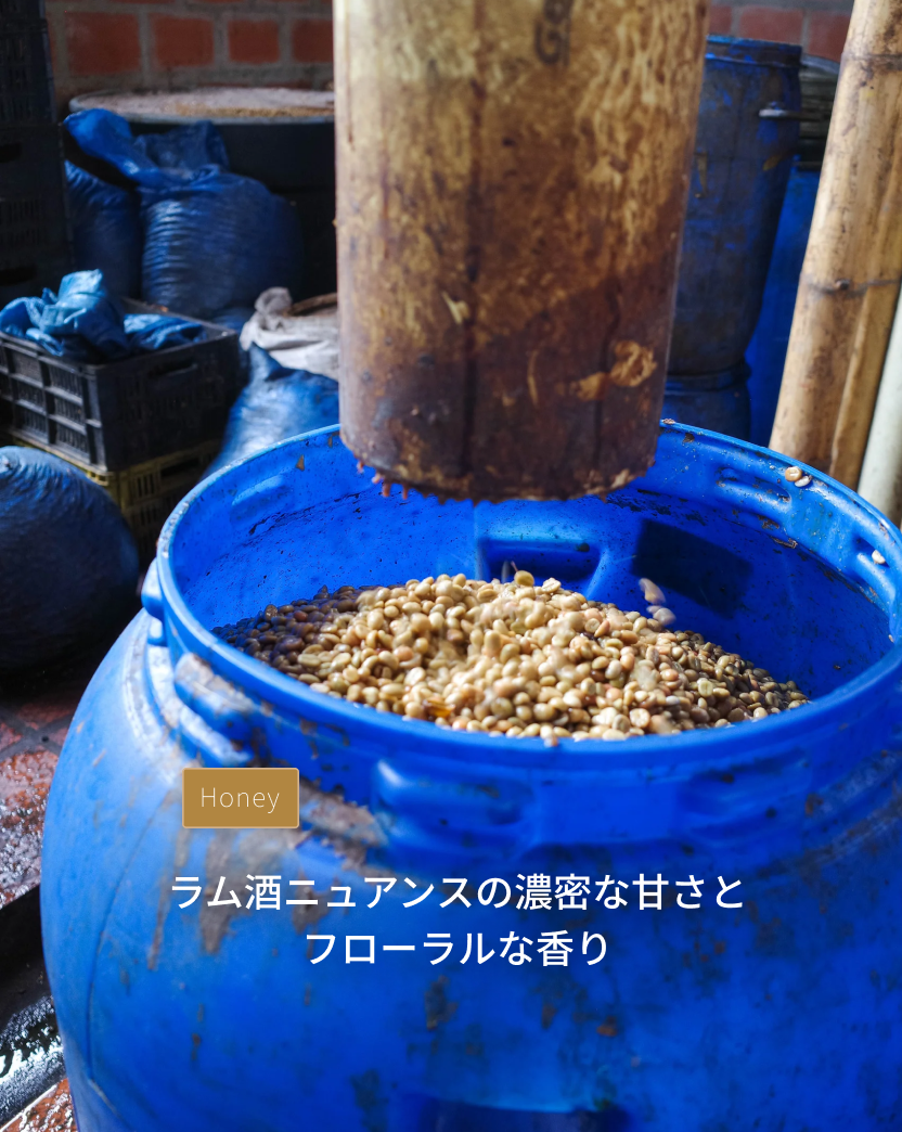 RS43 - ラロカ Typica Honey