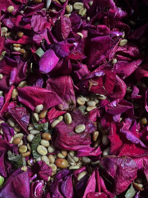 AZAHAR INFUSED - SSC02