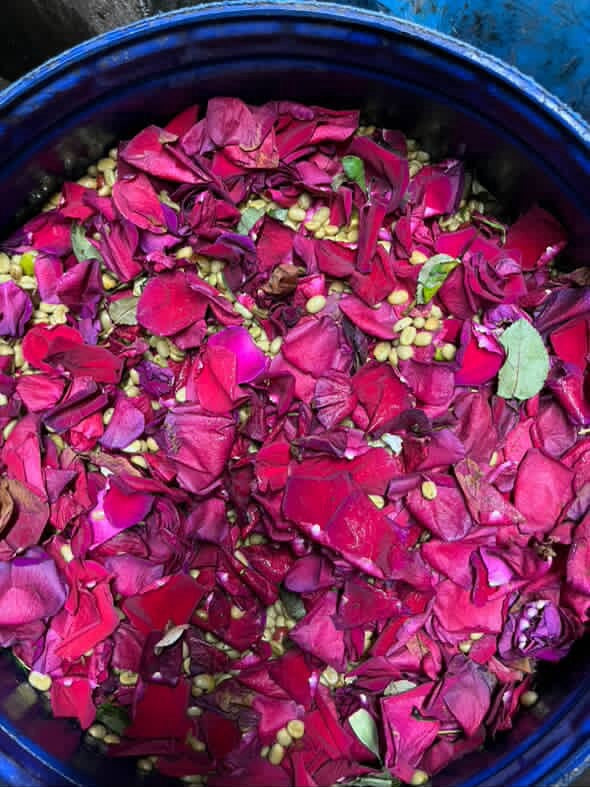 AZAHAR INFUSED - SSC02