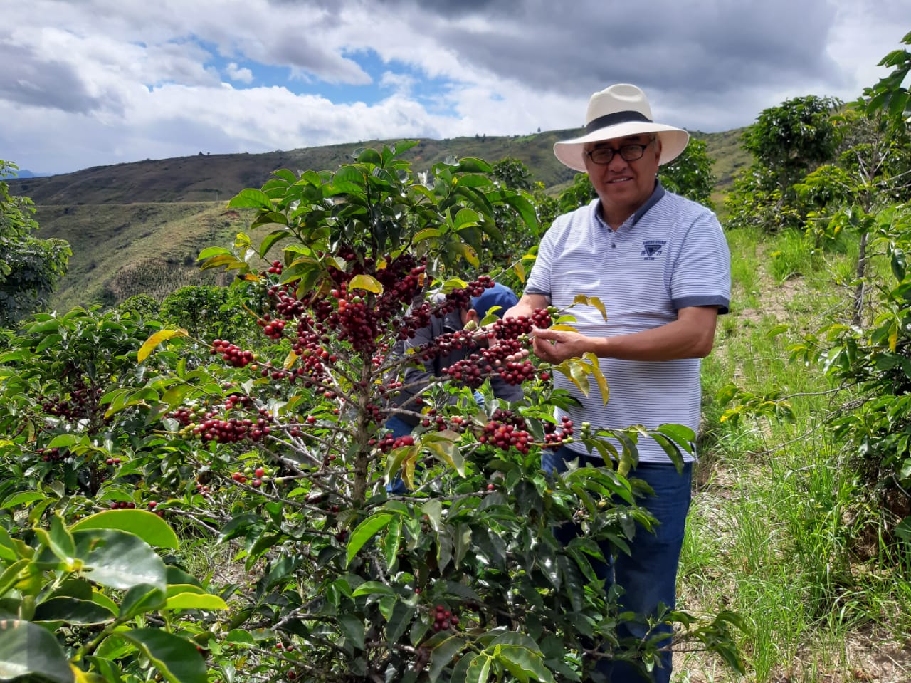 Pink Bourbon Competition - QP03